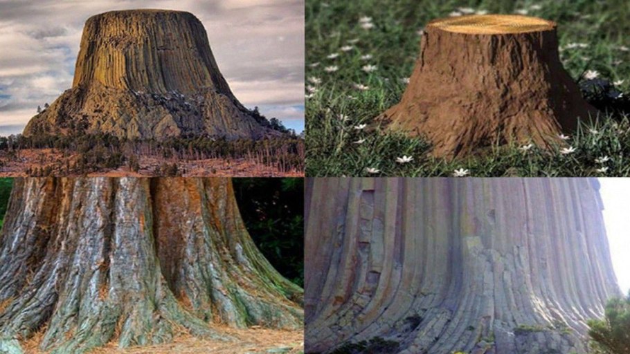 Каменноугольный период палеозойской эры