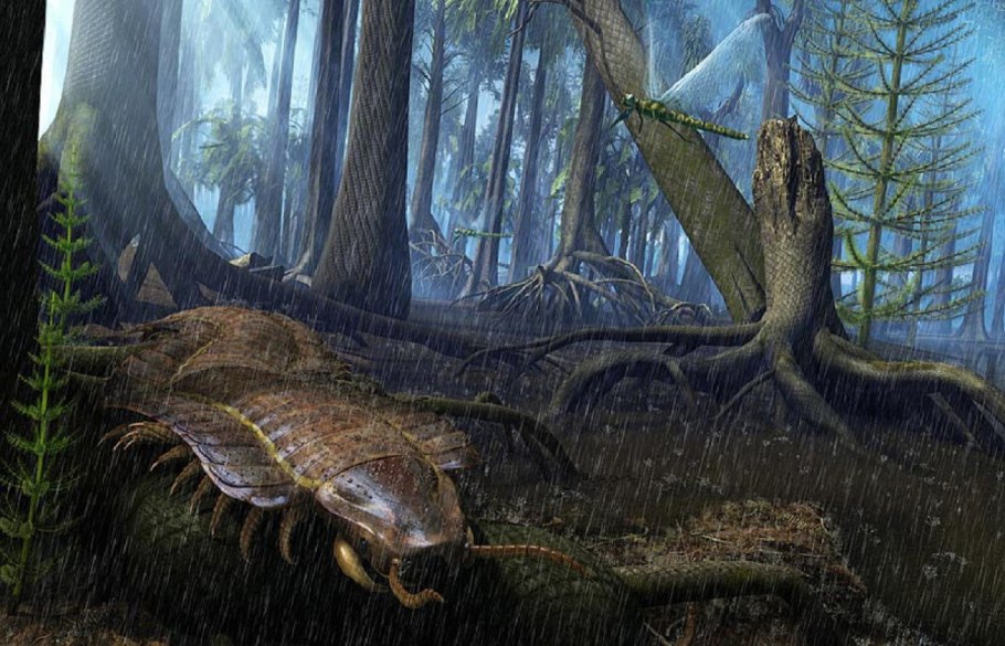 Палеозойская Эра Девонский Пери