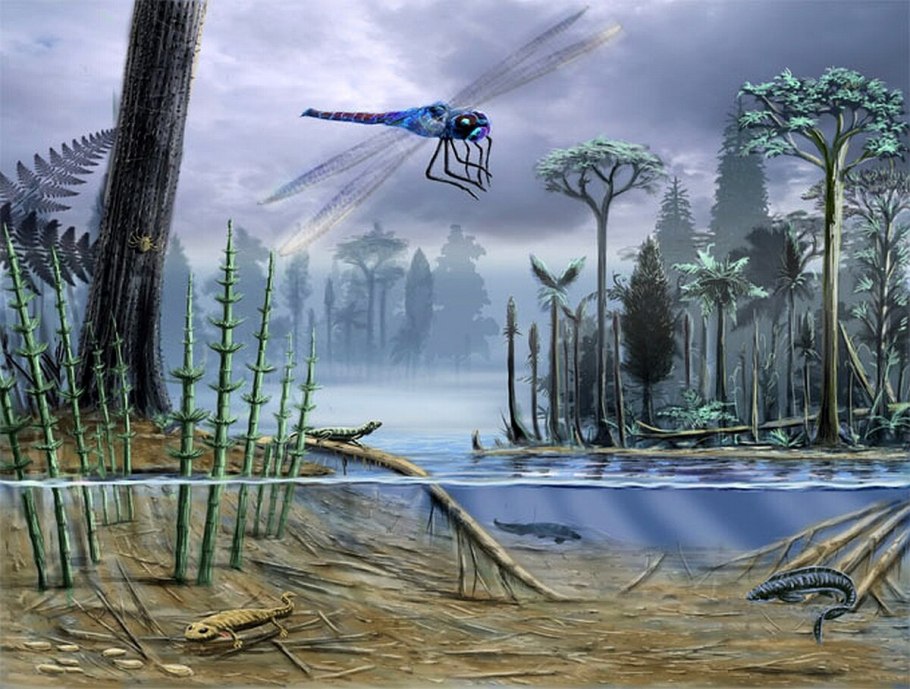 Пни Кремниевой эры