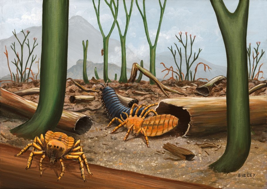 Кембрийская фауна окаменелости