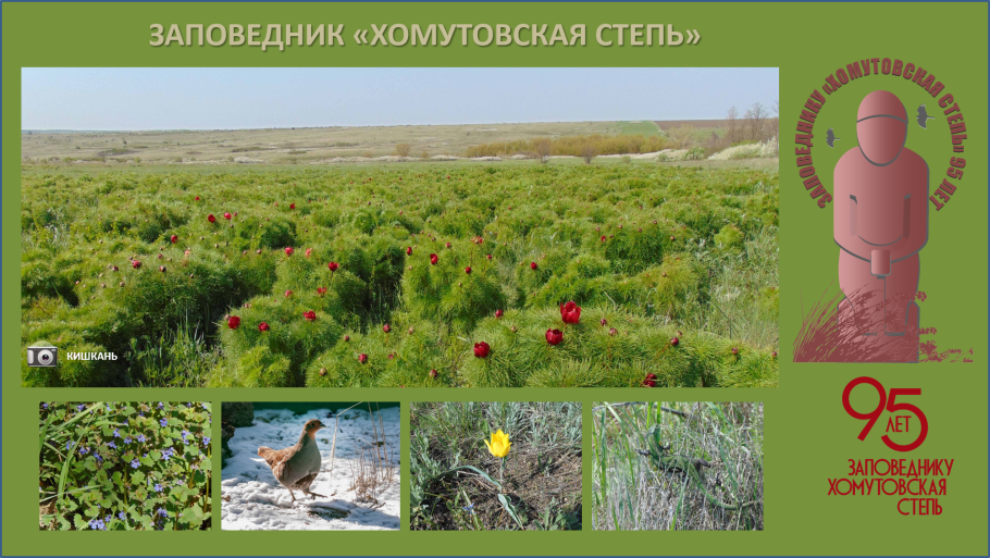 Природные условия лесостепи