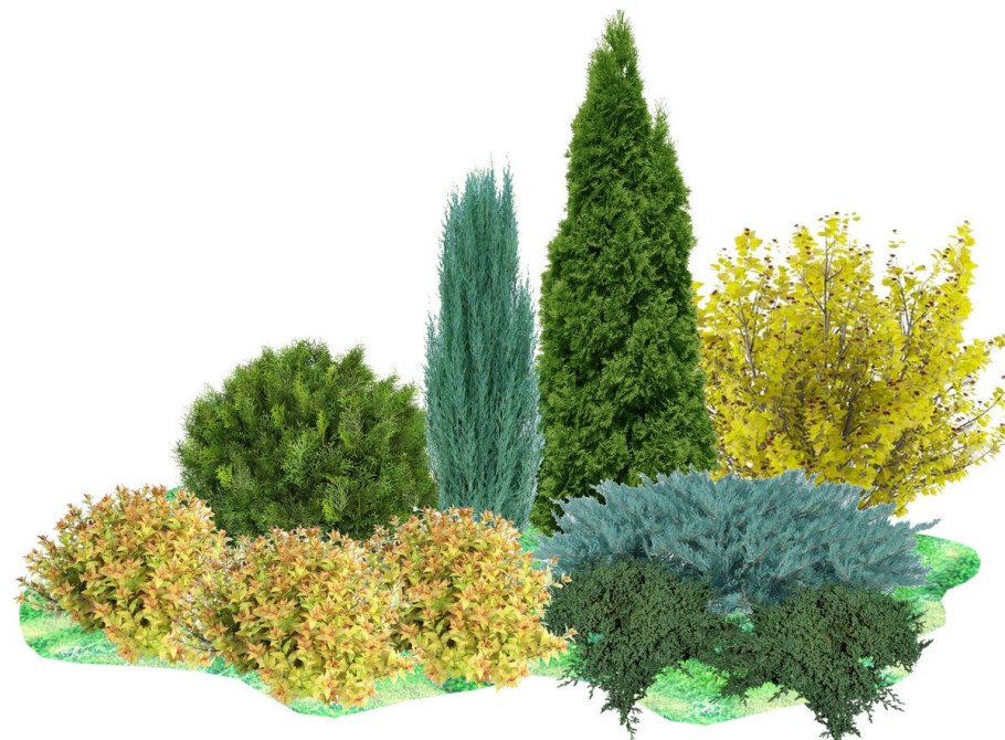 Миксбордер с туей Смарагд