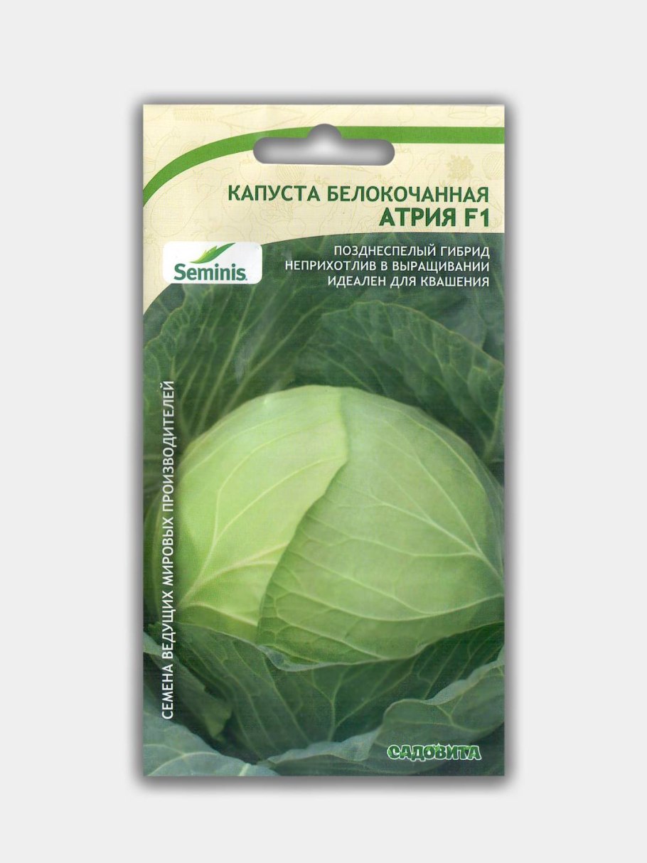 Семена капусты Атрия
