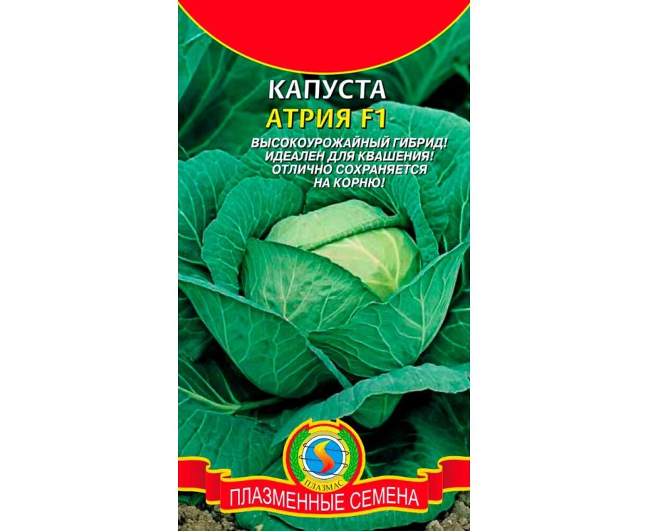 Семена русский огород Кольчуга капуста белокочанная Крюмон f1 0.15 г