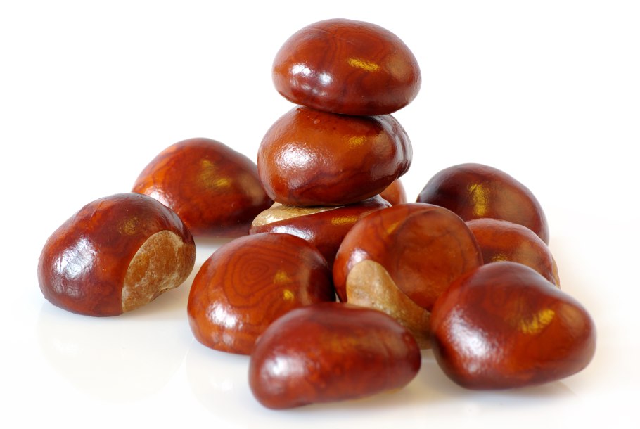 Мед каштановый частная пасека