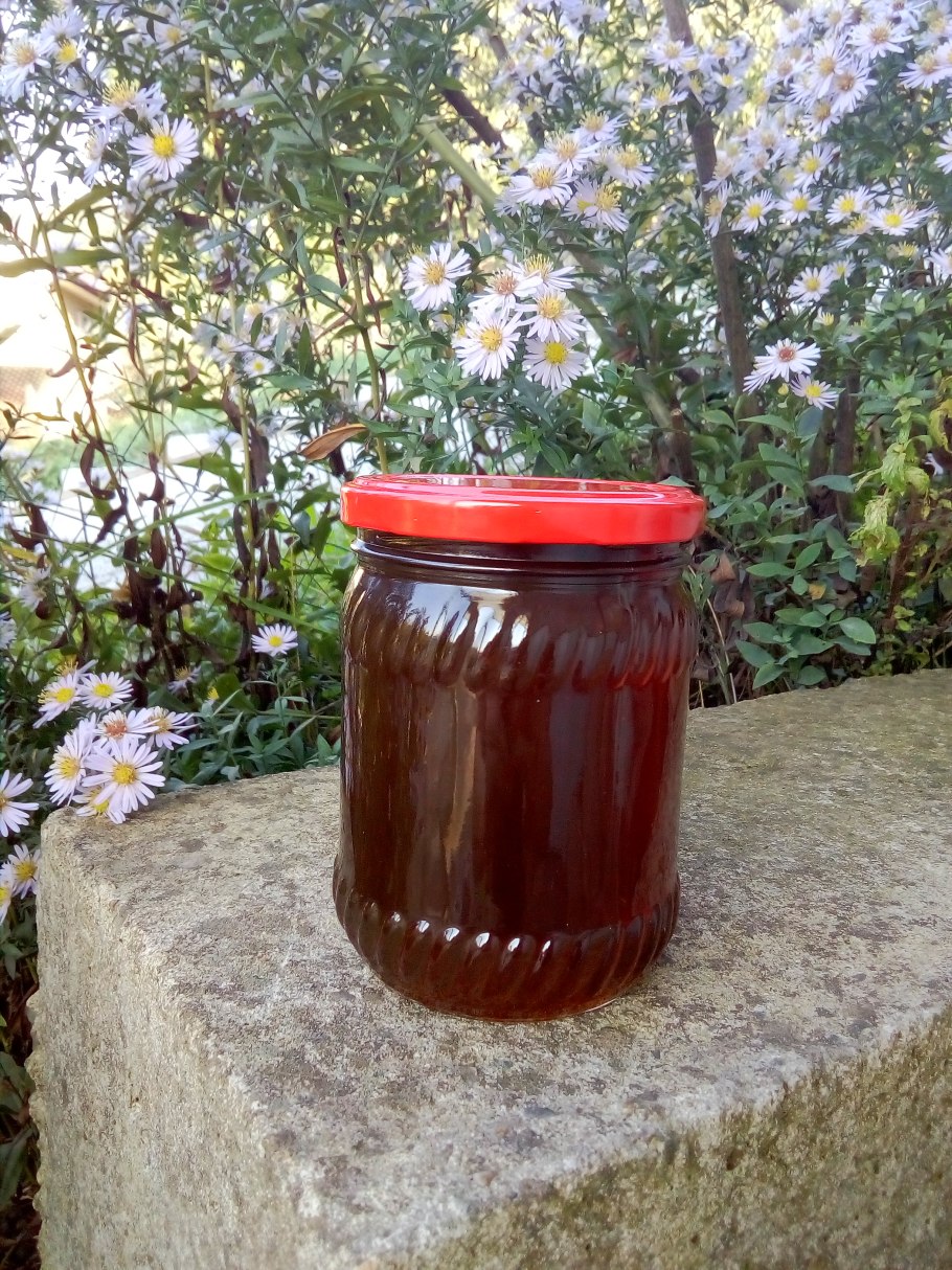 Мед медовый дом Абхазский каштановый 320г