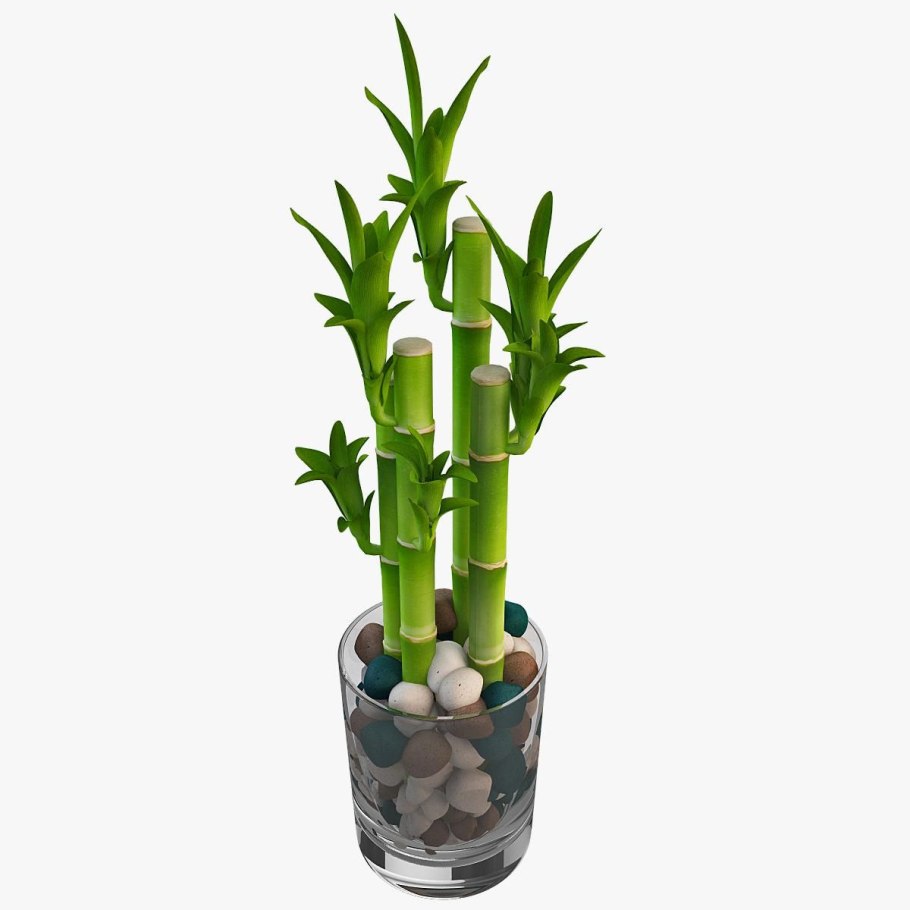 Бамбук лаки 2 Ронд