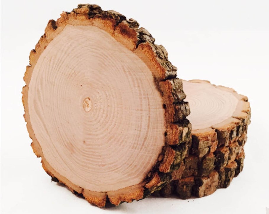 Дзельква японская