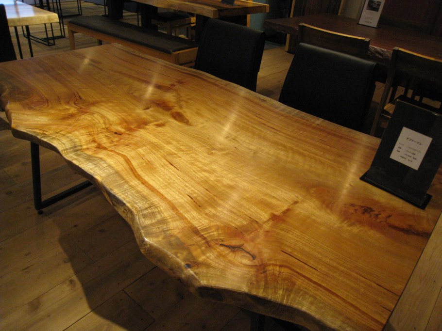 Котик с бонсаем