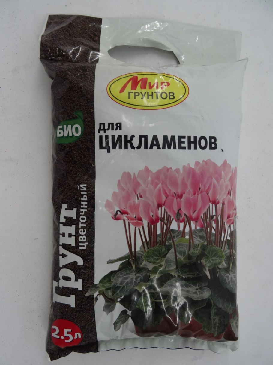 Цикламен кавказский Первоцветные