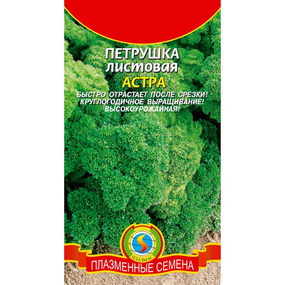 Петрушка Астра курчавая