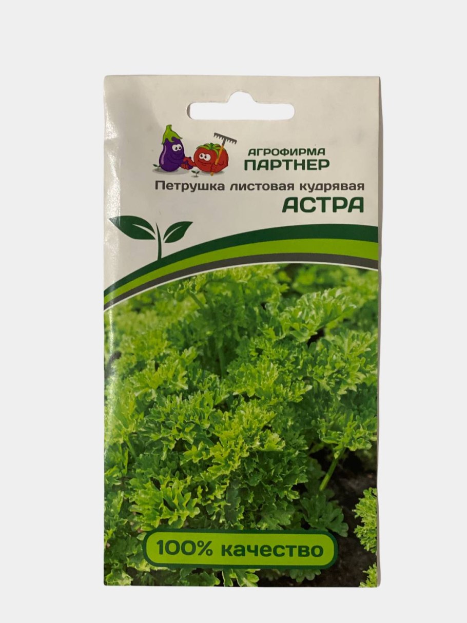 Петрушка быстрорастущая