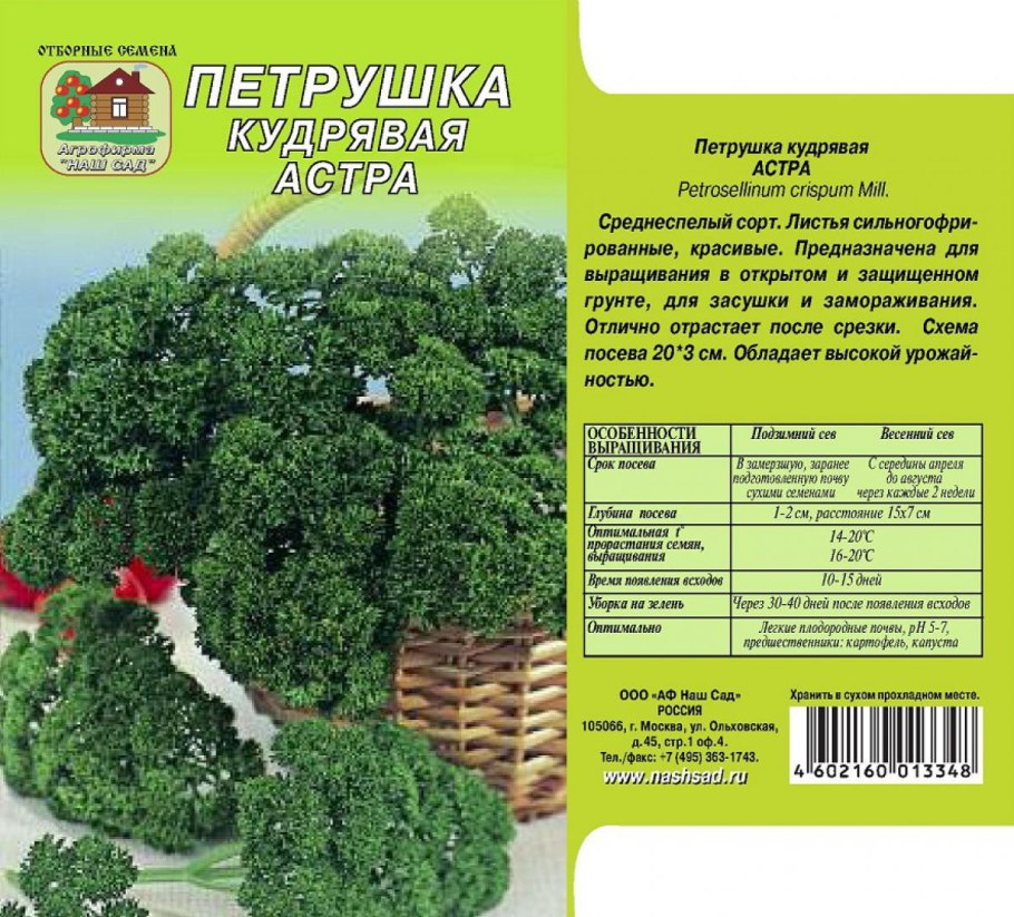 Петрушка листовая кудрявая Астра
