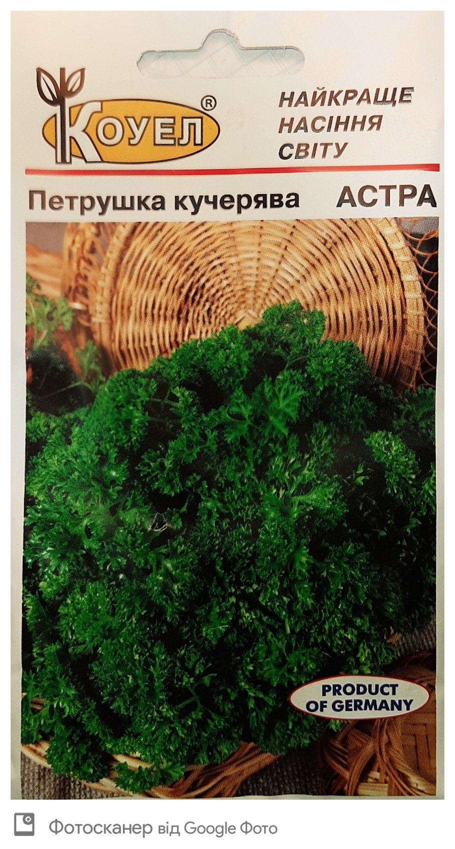 Петрушка при беременности