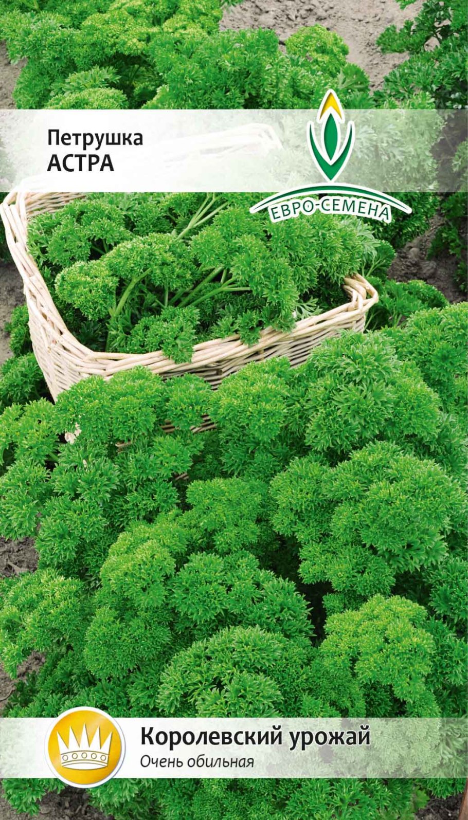 Новас петрушка