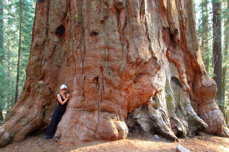 Национальный парк Секвойя