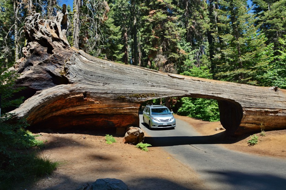 Парк Секвойя Калифорния