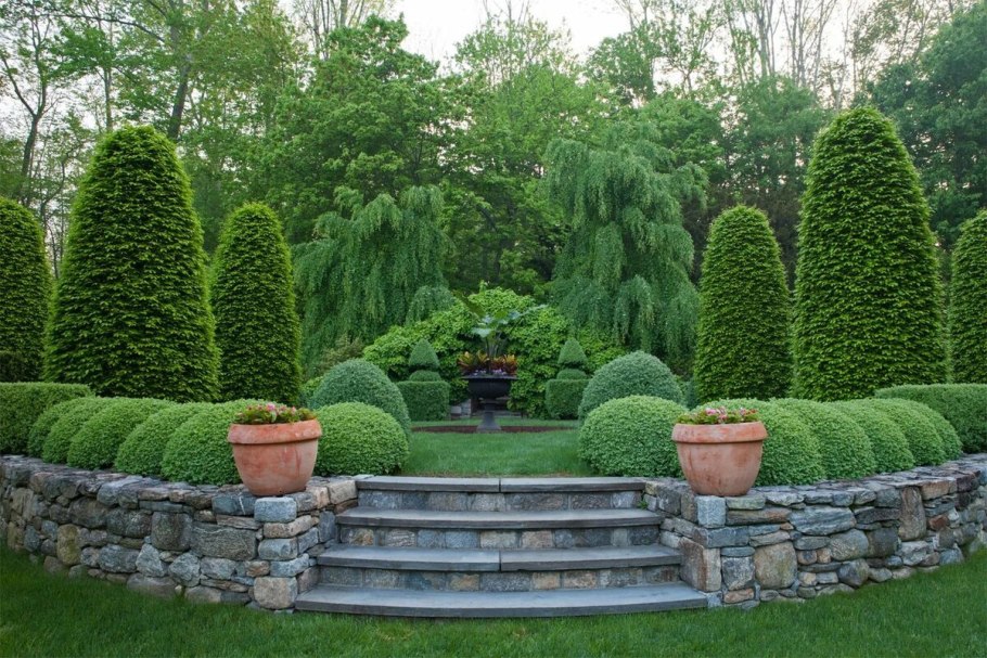 Пинарий хвойники