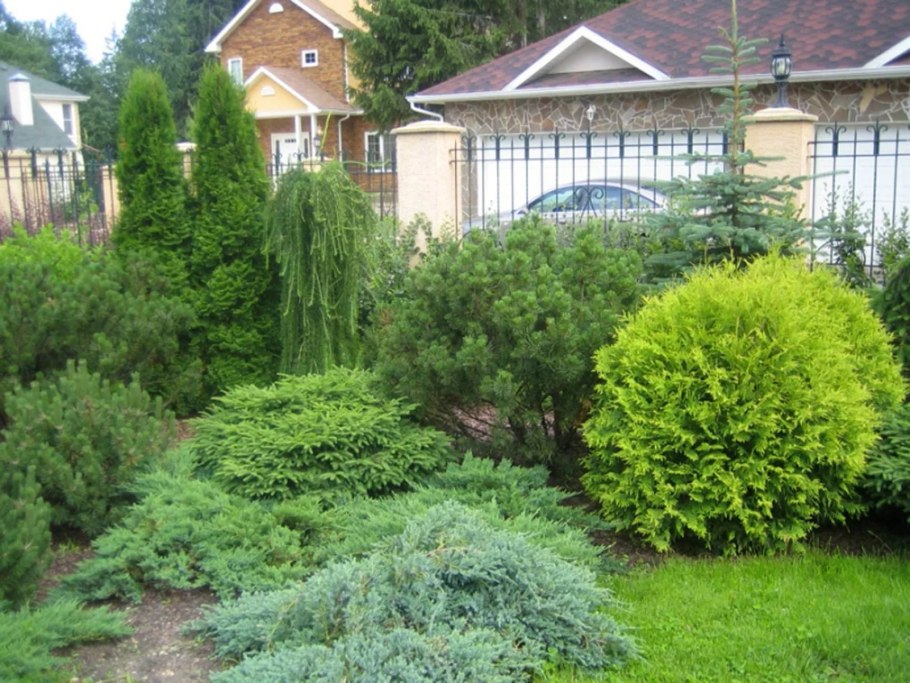 Хвойно Вересковый миксбордер