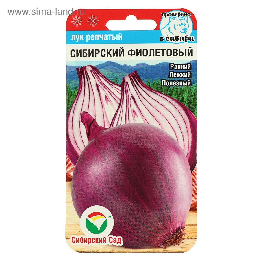 Лук севок Сеншуй Йеллоу Глоуб