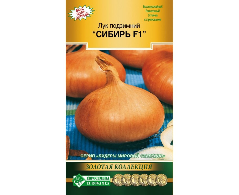 Лук севок Сибирский