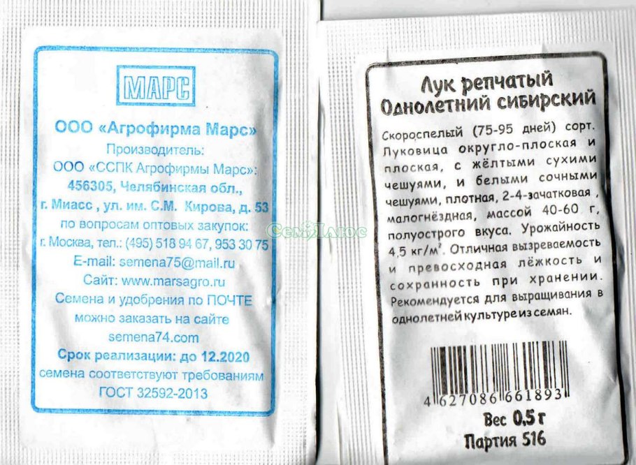 Лук севок Сибирский однолетний