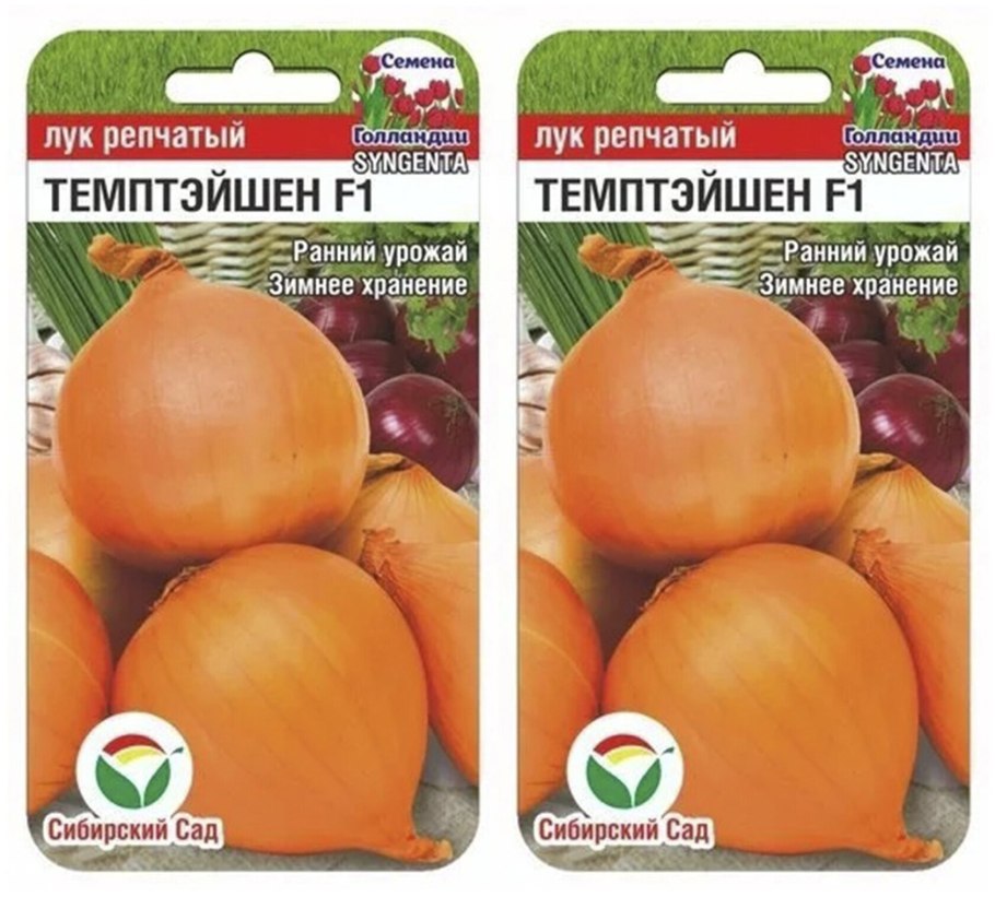 Лук Сибирь ф1