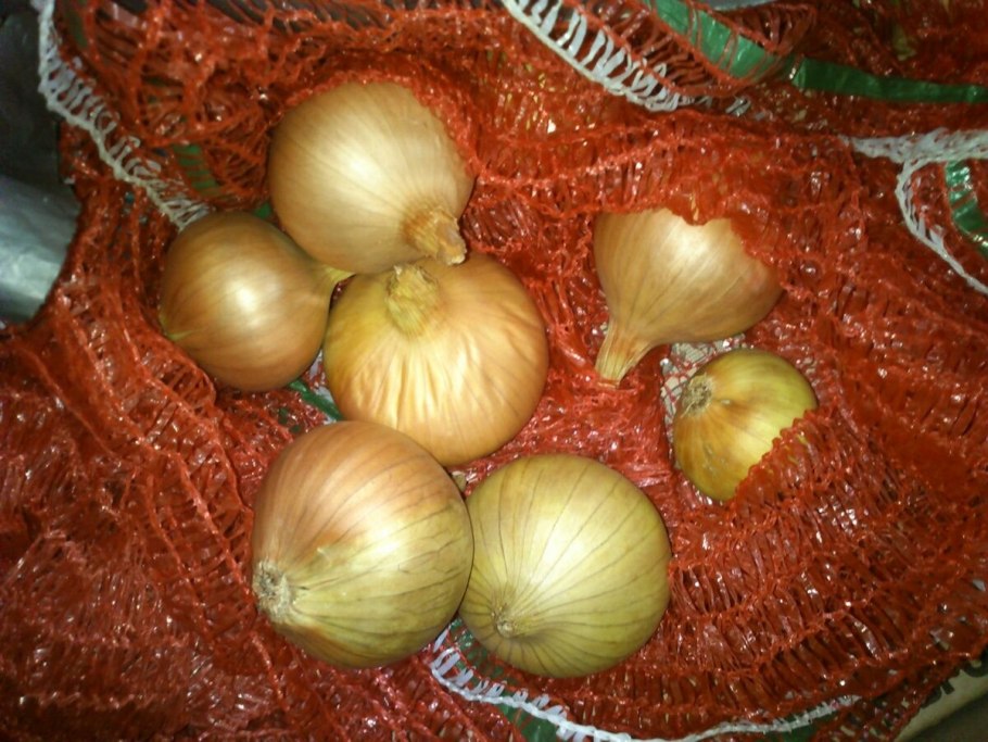 Убыль при хранении естественная лук-севок