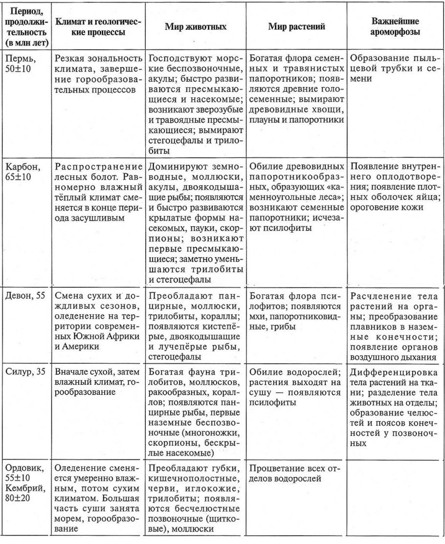 Ароморфозы растений и животных таблица