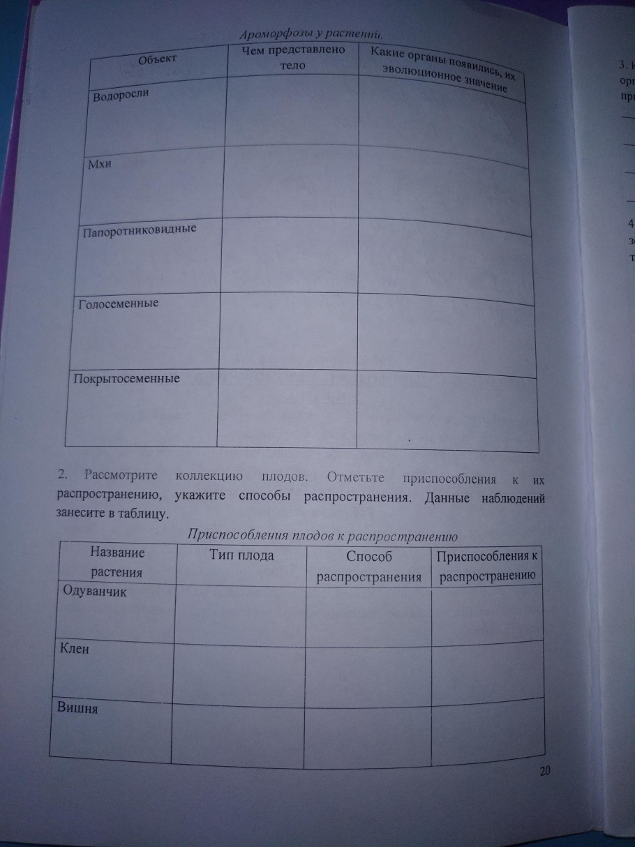 Патрисия Веласкес Анксунамун