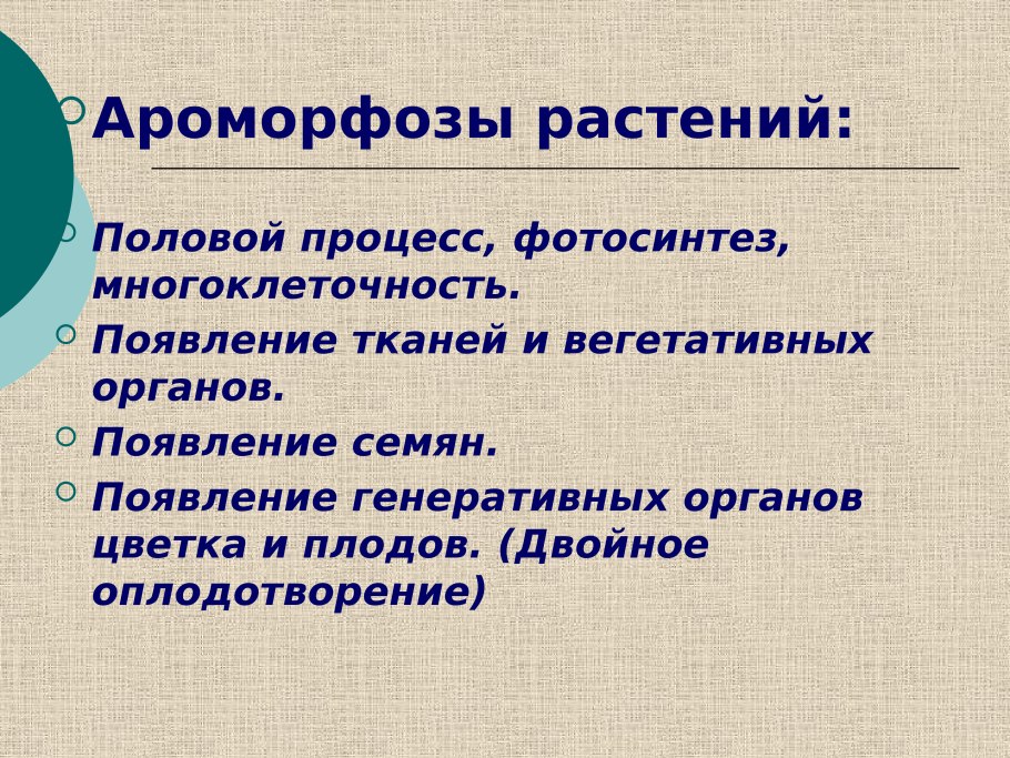 Примеры ароморфоза у растений