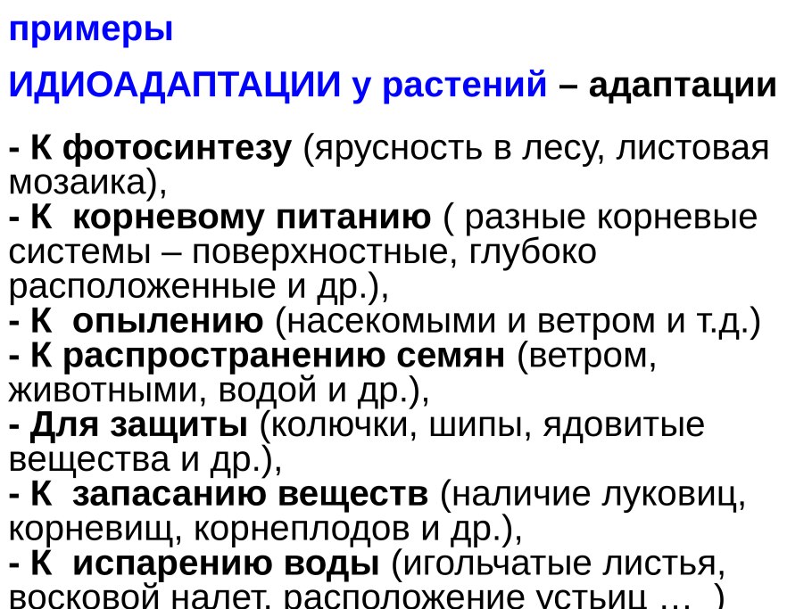 Ароморфозы кишечнополостных животных