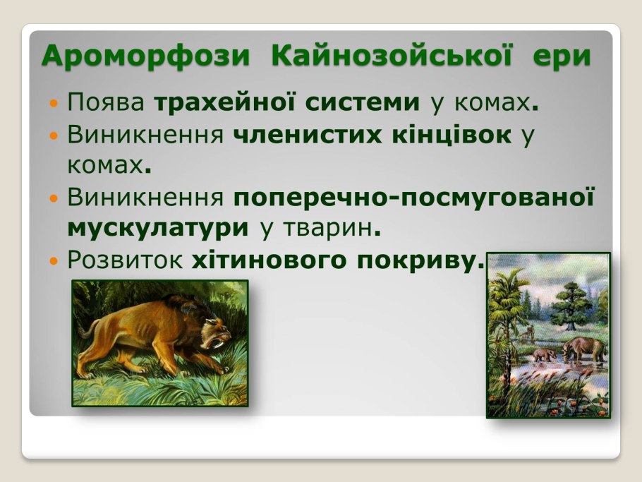 8100 SM белый жемчуг