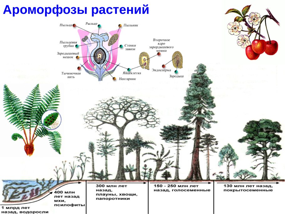 Обои на рабочий стол BTS Минимализм