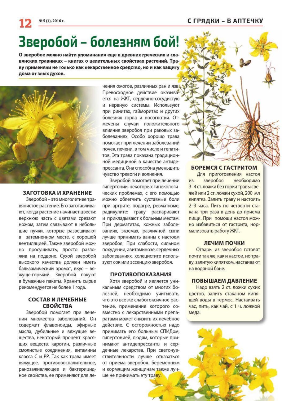 St. John 's Wort