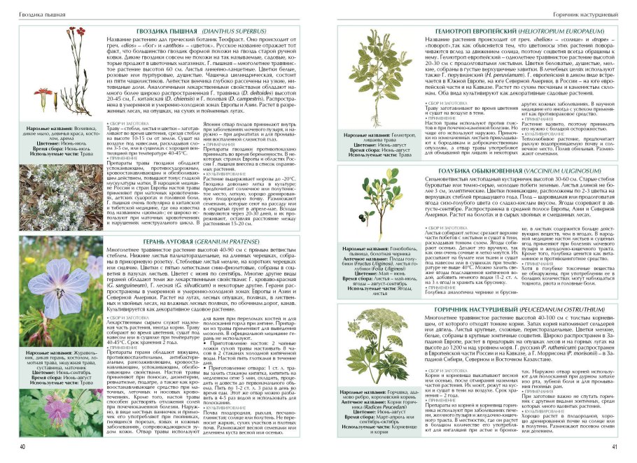 Части растений раскраска