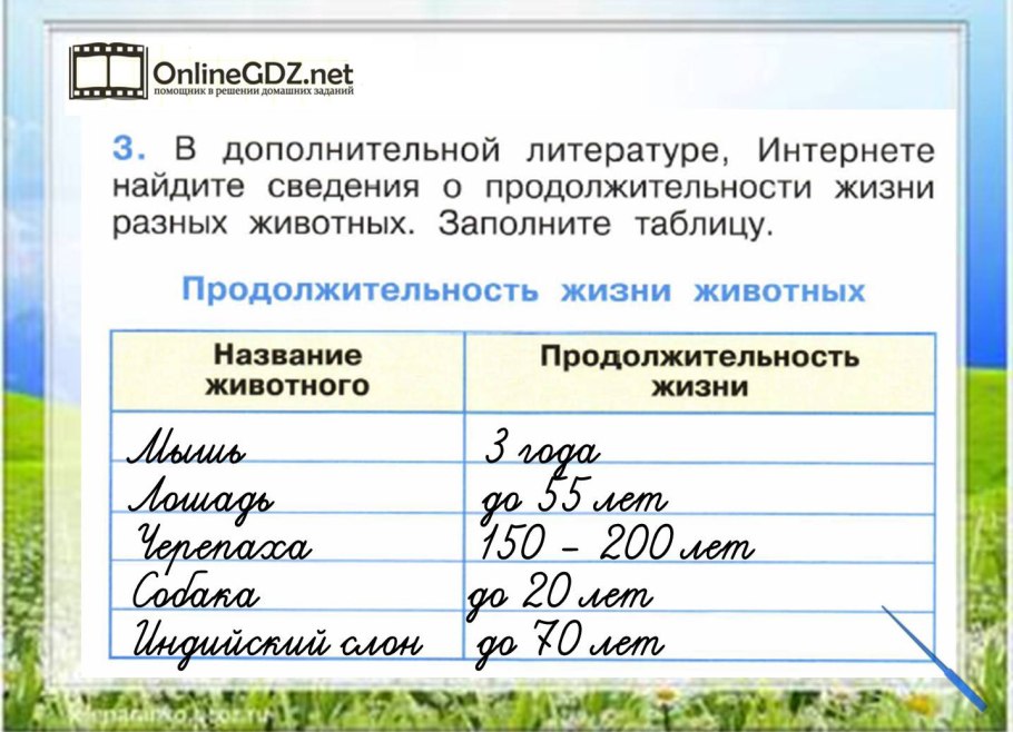 Продолжительность жизни деревьев