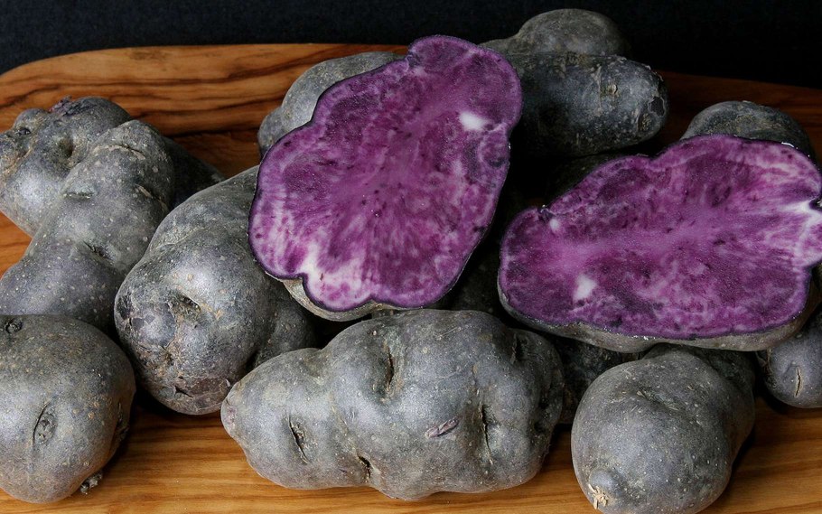 Картофель семенной Салблю