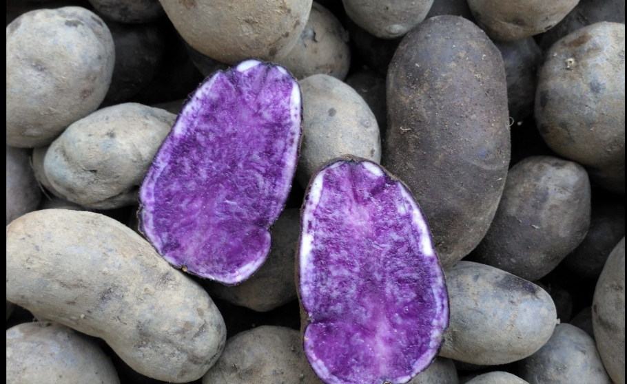 Картошка в виде сердечка