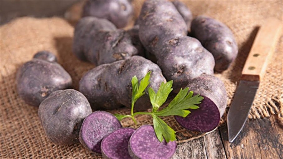 Блю Элиза, фиолетовый картофель