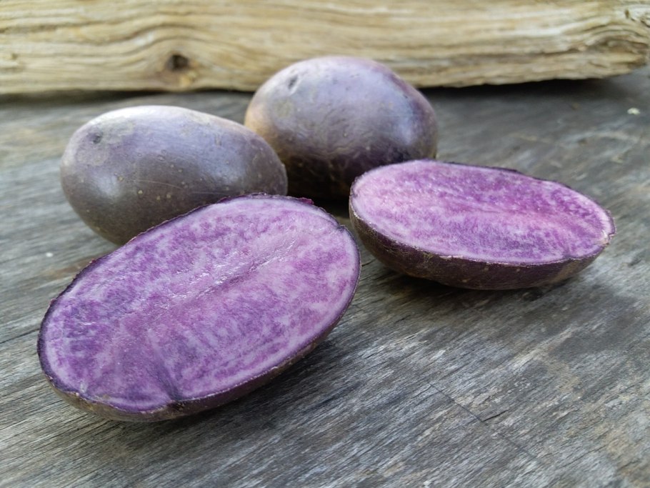 Вителот фиолетовый картофель