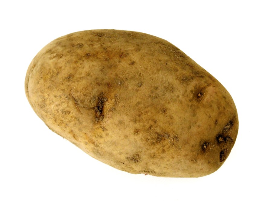 Картофель сорта Ильинский