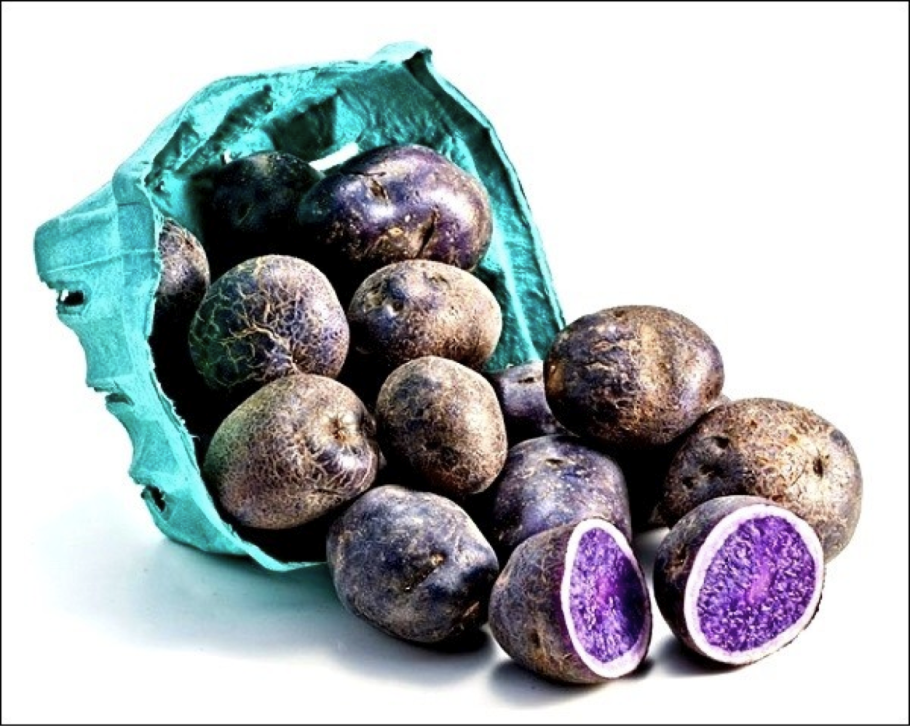 Сорт картофеля перуанский фиолетовый purple peruvian