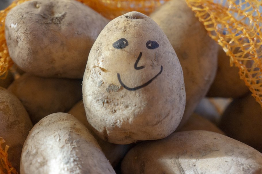 Дикорастущий картофель