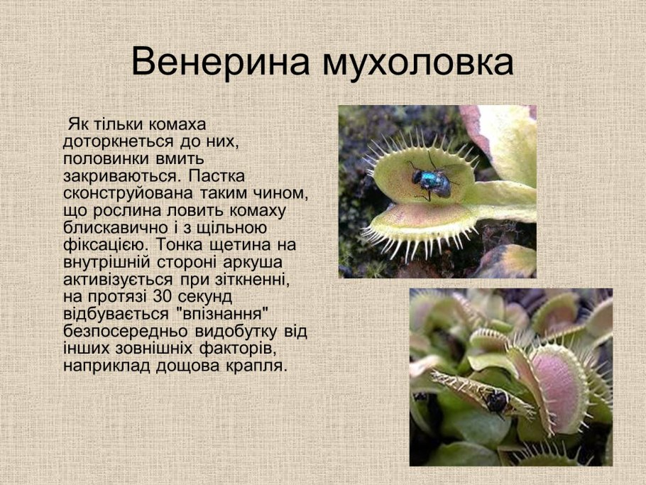 Адаптация растений к температуре