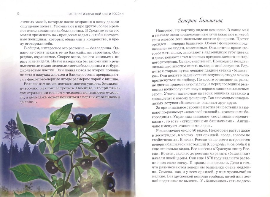 Растения красной книги России