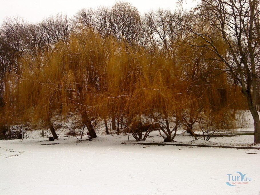 Уиллоу-Лейк озеро