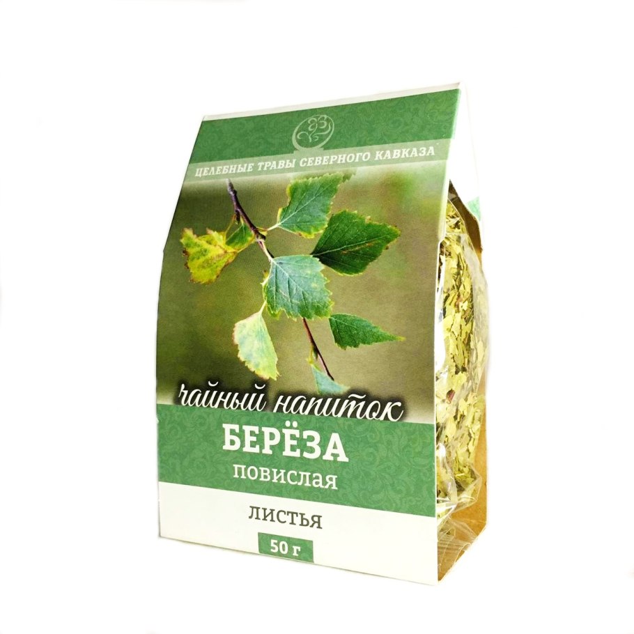 Голосеменные ель сосна пихта