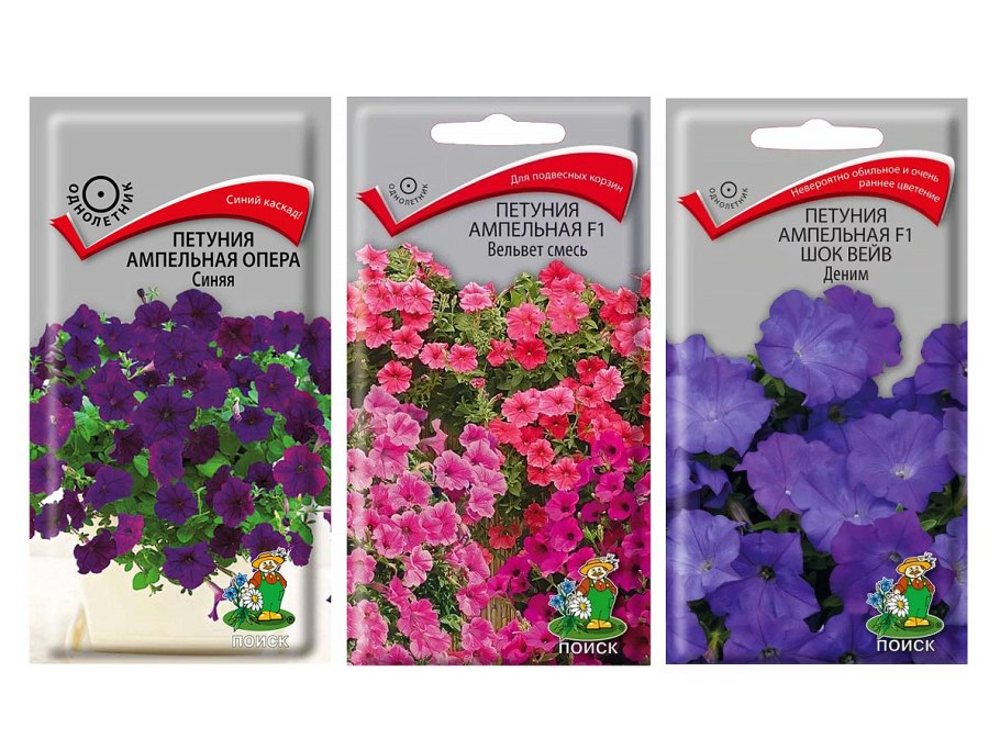 Дельфиниум Rocket Larkspur