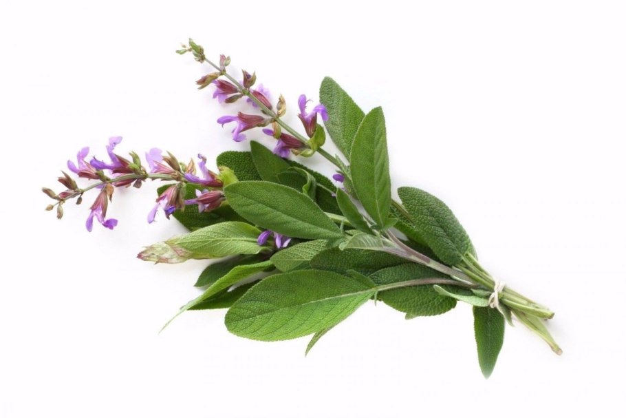 Лора Эшли диван